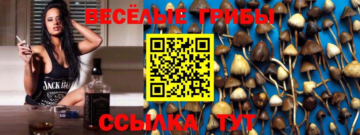 Псилоцибиновые грибы Psilocybine cubensis Алушта